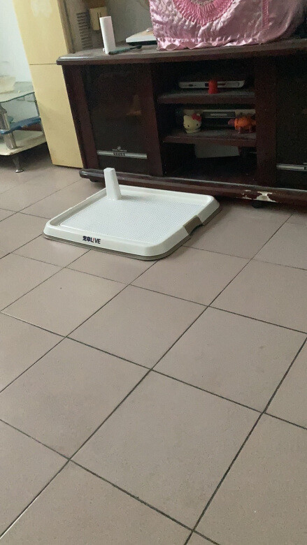 
挺大的，之前狗狗都是从笼子里上厕所，长