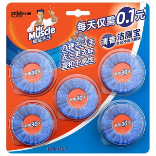 Mr Muscle 威猛先生 自动冲洗洁厕块 40g*5块 清香