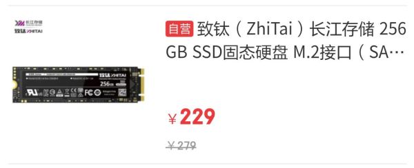 ZhiTai 致钛 Active系列 SC001 M.2固态硬盘 256GB