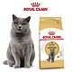 ROYAL CANIN 皇家  BS34 英国短毛猫全价猫粮 2kg