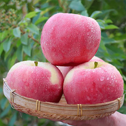 苹果水果新鲜当季整箱