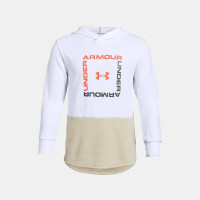 UNDER ARMOUR 安德玛 男童连帽卫衣