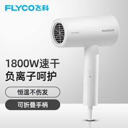 FLYCO 飞科 FH6276 便携吹风机