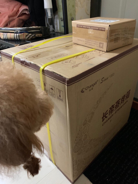 以前也买过长帝的烤箱。这一款蒸烤两用，可