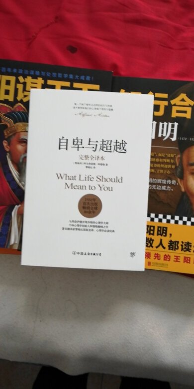 买的都是我喜欢的书籍。很不错的一次购物体