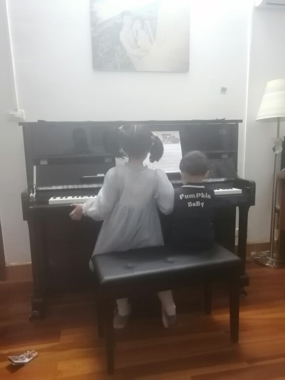 外观挺不错的，看着很有质感，音色说不出来