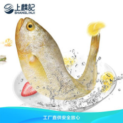 上麟记 鲜冻三去宁德大黄鱼1kg 2条 *2件