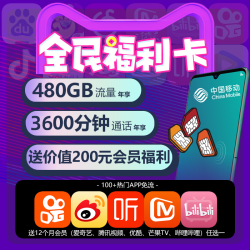 中国移动 福利卡（10G+30G+100分钟）