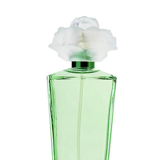 ElizabethTaylor 伊丽莎白泰勒 栀子花女士香水 EDP 100ml
