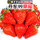 丹东草莓新鲜草莓丹东99草莓3斤奶油红颜大草莓九九草莓礼盒水果 *3件