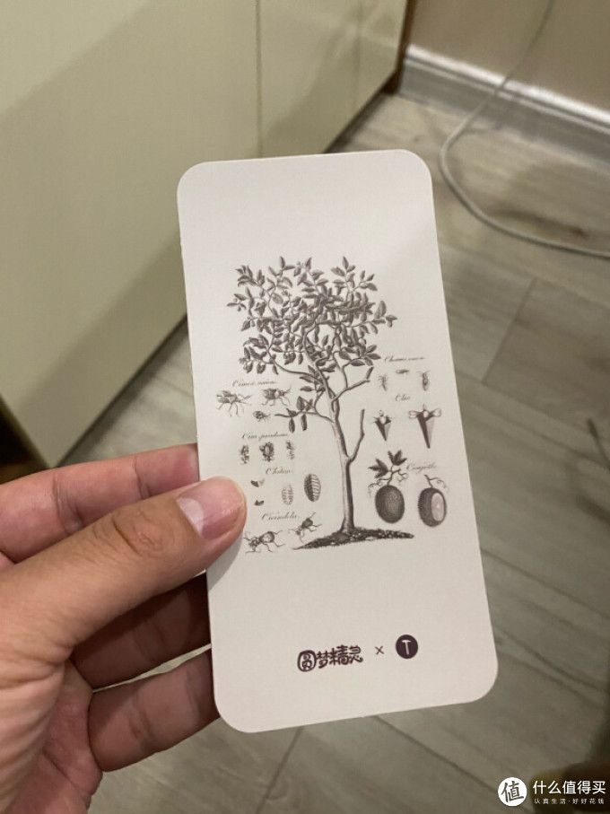 锤子科技保护壳