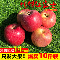 新鲜红富士苹果75mm以上果子 5斤14.9