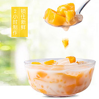 新鲜酸奶黄桃西米露水果罐头312g*6罐菠萝什锦橘子椰果整箱混合装