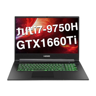 Hasee 神舟 战神 G7-CT7NT 17.3英寸 笔记本电脑 (黑色、酷睿i7-9750H、16GB、1TB HDD、GTX 1660Ti 6G)