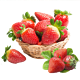 京东PLUS会员：田园居 奶油草莓 中大果礼盒装 （3斤）