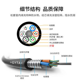 海乐（Haile）12芯单模室外光缆 层绞式GYTA-12b1.3 铠装光纤1000米 HT211-12SC 1公里多买整条发货