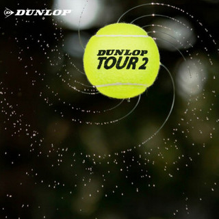 登路普DUNLOP 2020加亮网球Tour Brilliance黄罐训练练习比赛用球DTB601326