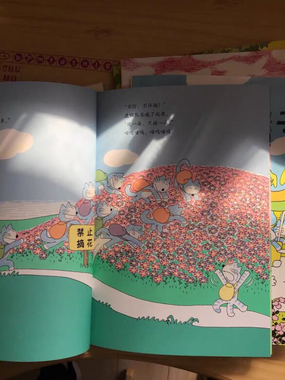 11只猫真是像孩子一样,不让干嘛非干嘛,