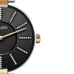 RADO 雷达 COUPOLE M 系列 R22850713 女士石英手表 32mm 黑盘 间金不锈钢表带 圆形