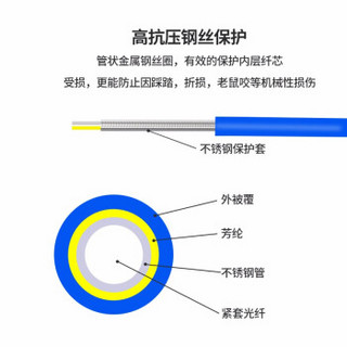 EB-LINK 工程电信级铠装光纤跳线300米SC-SC单模双芯铠甲双工尾纤防鼠咬金属钢丝抗压抗拉