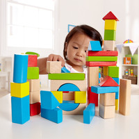 Hape 大颗粒益智积木40粒