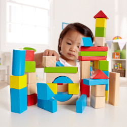 Hape 大颗粒益智积木40粒