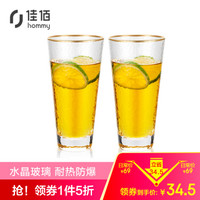 佳佰 玻璃杯套装 家用水杯 水晶耐热玻璃水杯果汁杯茶杯非保温杯 锤纹金边480ml 两支装