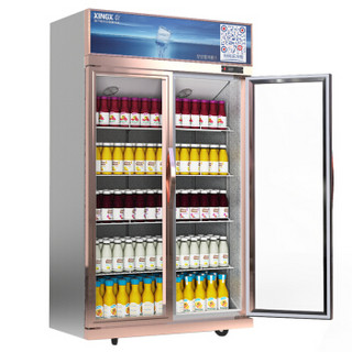 XINGX 星星 展示柜518升冷藏柜商用冰箱冷柜大容量双门立式保鲜柜饮料柜啤酒柜LSC-518Y