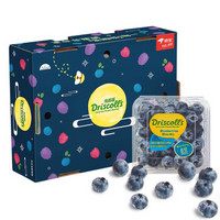 Driscolls 怡颗莓 秘鲁进口蓝莓 12盒装 JUMBO 巨无霸果 约125g/盒