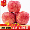 云鲜风正宗洛川红富士苹果 陕西一级冰糖心应当季新鲜水果10整箱