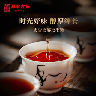 澜沧古茶2019年八壹金瓜普洱茶熟茶八一云南宫廷古树老树茶叶500g