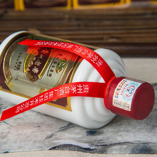 MOUTAI 茅台 贵州老窖系列 品鉴 52%vol 浓香型白酒 100ml 单瓶装