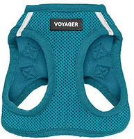 Voyager Stp-in Air 狗胸背带 - 全天候网布，步入式背心式胸背带适用于中小型犬 Best Pet Supplies 出品