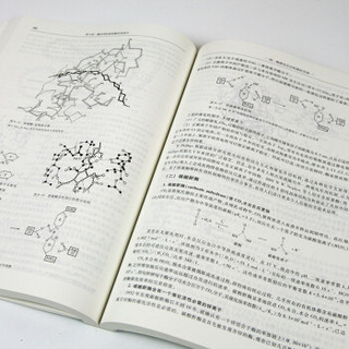 生物化学 第四版第4版 上册+下册两本套