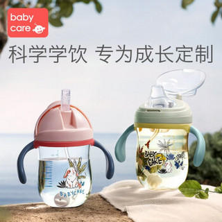 babycare吸管杯学饮杯婴儿1-3岁防漏防呛吸管杯带重力球婴儿水杯宝宝水杯 维拉紫240ml