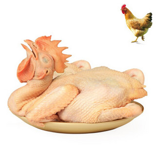 温氏供港农养鸡800g农村散养土鸡走地鸡新鲜整只草鸡农养鸡800g单只