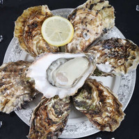 渔吻 乳山鲜活带壳生蚝海蛎子 2500g 海鲜水产烧烤食材 XXL 4斤(约20-24个)