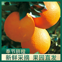 重庆奉节脐橙新鲜橙子3斤5斤当季水果手剥橙整箱年货包邮现摘甜橙