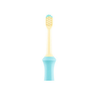 利其尔（richell）婴儿儿童牙刷 柔软刷毛 口腔清洁训练牙刷 T.L.I亲子型牙刷（2支装）（12个月以上用）