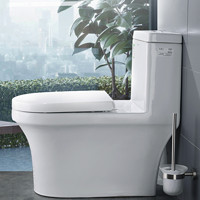  箭牌 ARROW 卫浴套装 AE1185马桶+AE3445SA花洒