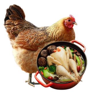 三黄鸡 老母鸡土鸡炖汤鸡肉 生鲜 约800g/只 2只装 *2件