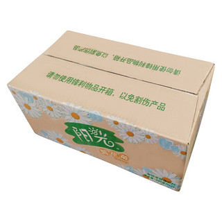 Coca-Cola 可口可乐 阳光菊花茶饮料 250ml*24瓶 整箱装