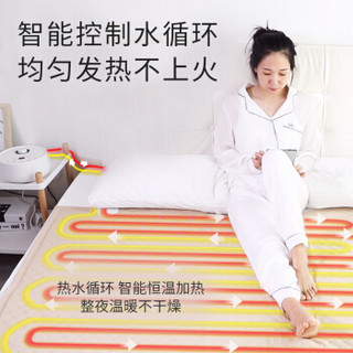 利仁电热毯恒温水暖毯节能省电无辐射均匀发热电褥子单双人床 （规格：1.8米*1.6米）SNT-D18B