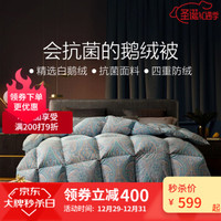 BLISS 百丽丝 鹅绒 冬被！！！200cmx230cm 水星家纺出品百丽丝 拉菲维尔被床上用品
