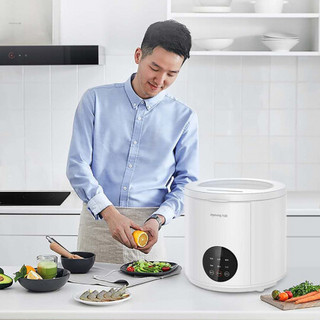 九阳洗菜机循环水泵扰流清洗更全面一键排水不费力果蔬清洗机蔬菜机X-JS03
