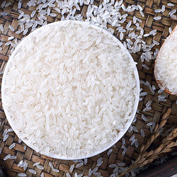 SHI YUE DAO TIAN 十月稻田 五常有机米10kg 稻花香米 东北大米10kg