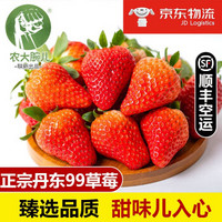 农大腕儿 99草莓丹东特产红颜九九草莓 农场现摘现发 净重2.8斤