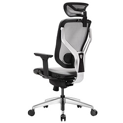 美国Dvary 人体工学椅电竞椅办公电脑椅护腰颈老板椅游戏可躺