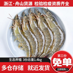 新鲜冷冻基围虾大虾  450g/盒 *3件
