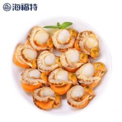 海福特 特大带黄扇贝肉/鱿鱼/鲳鱼/虾仁/火锅鱼片/东海带鱼组合